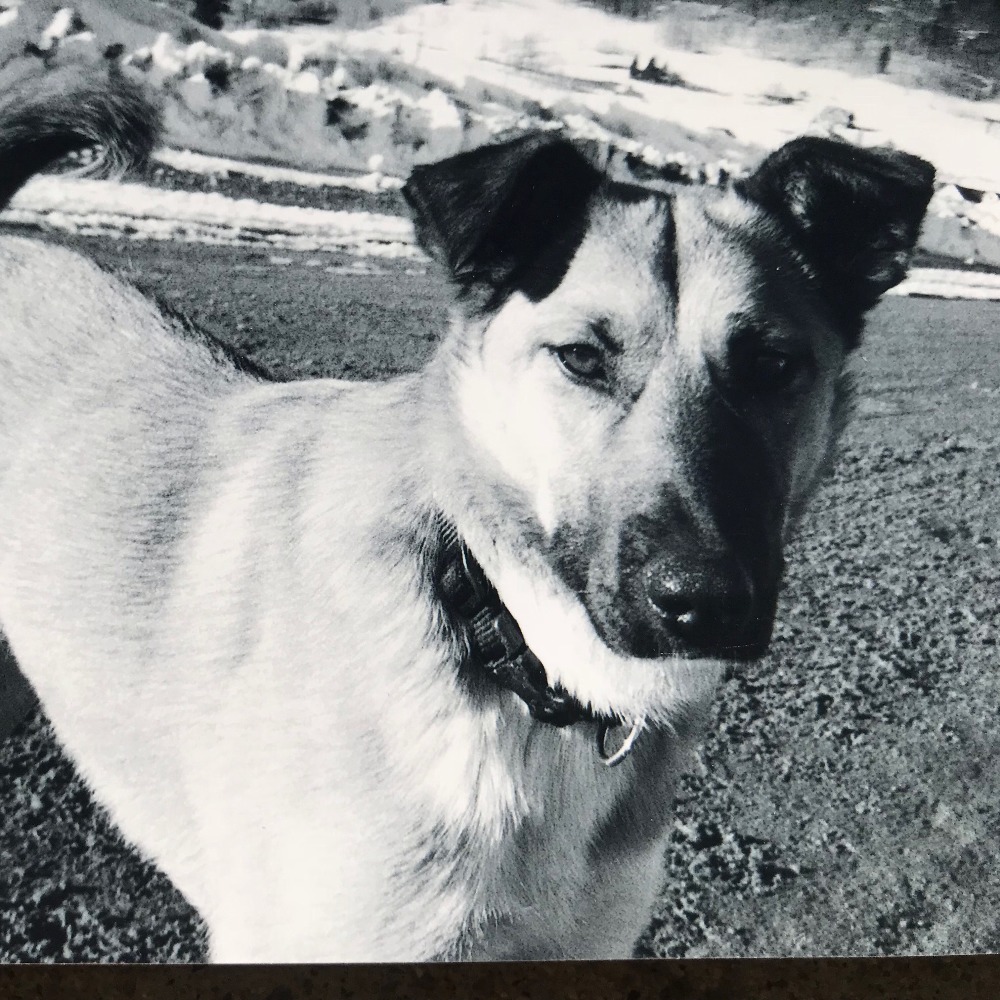 Meet your Posher, Nancy